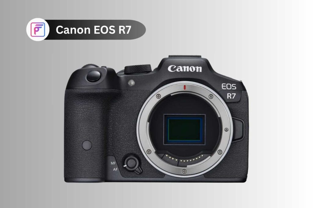 Canon EOS R7